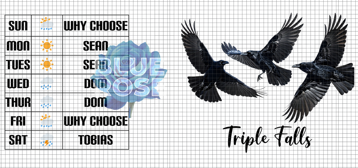 Ravenhood Series 16oz Libbey Cup Wrap Bundle | Triple Falls PNG Designs | Bookish Raven & King Glass Can Wraps