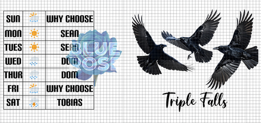 Ravenhood Series 16oz Libbey Cup Wrap Bundle | Triple Falls PNG Designs | Bookish Raven & King Glass Can Wraps